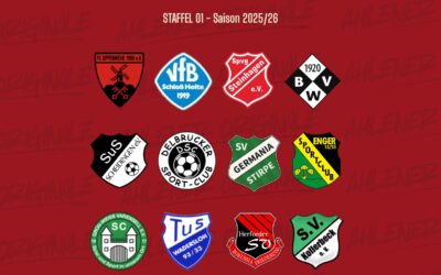 Staffeleinteilung Landesliga